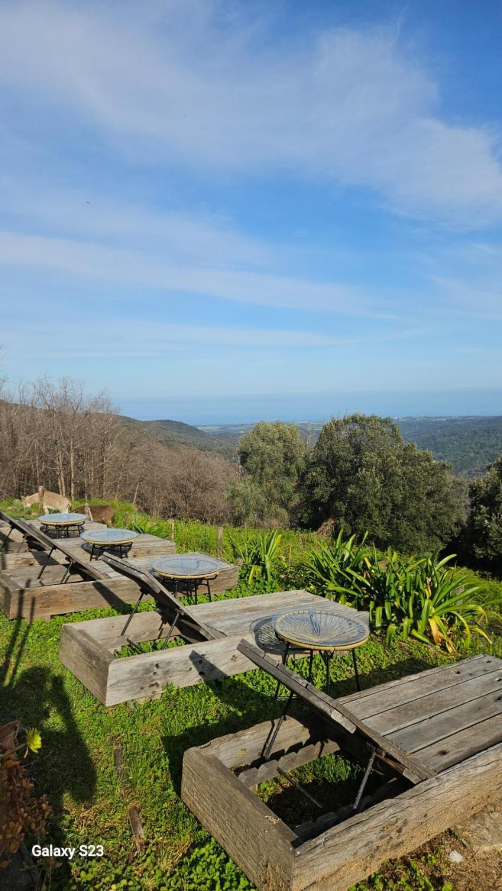 Domaine Colonna Santini ,Chambre D Hotes Piscine, Sauna, Spa Porri 外观 照片