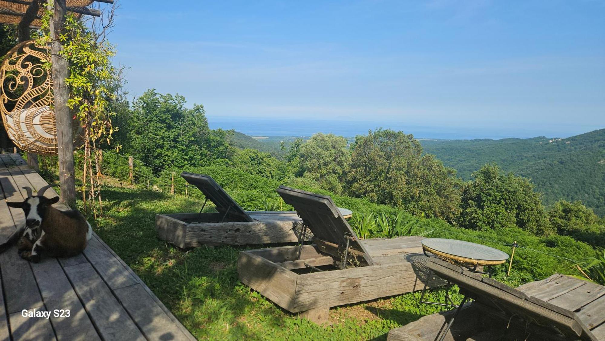 Domaine Colonna Santini ,Chambre D Hotes Piscine, Sauna, Spa Porri 外观 照片